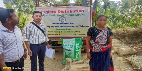 Piglets Distribution